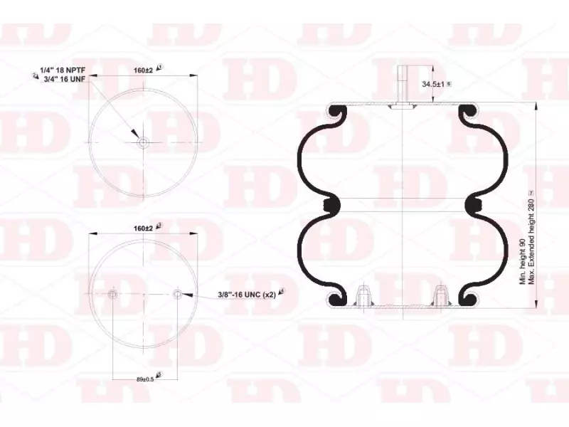 Convoluted Air Spring