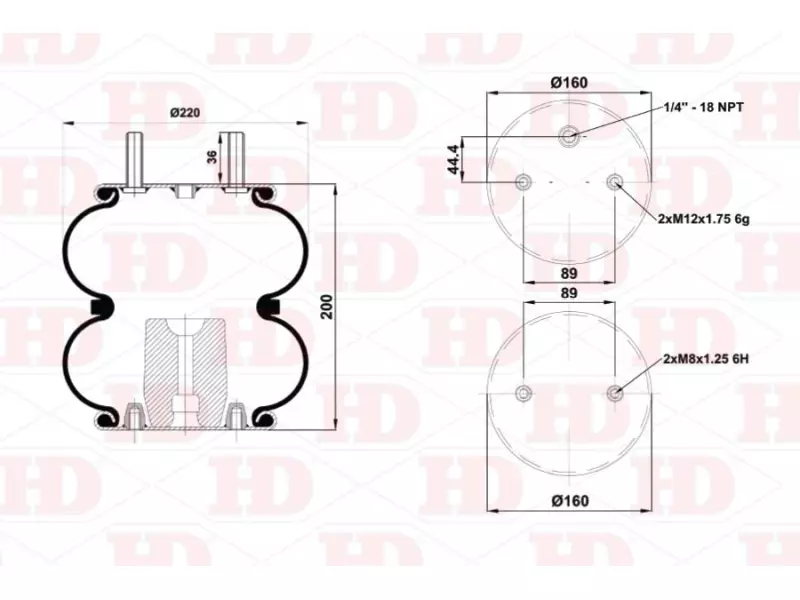 Convoluted Air Spring