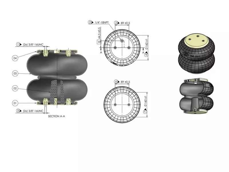 Convoluted Air Spring