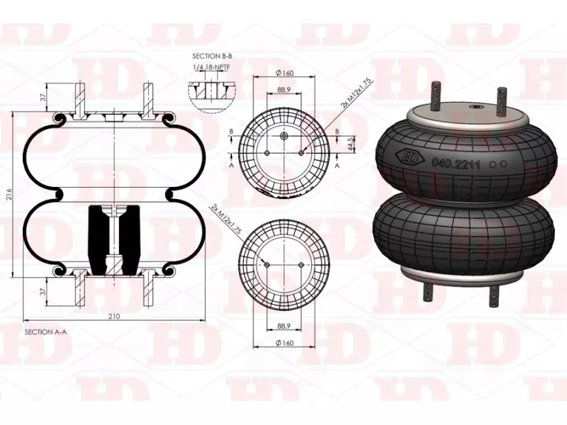 Convoluted Air Spring