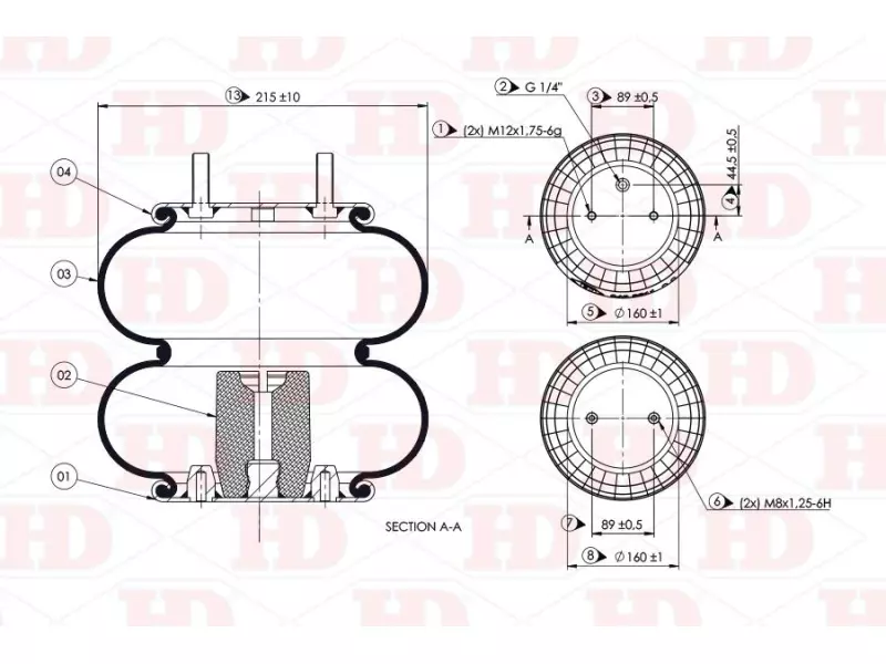 Convoluted Air Spring