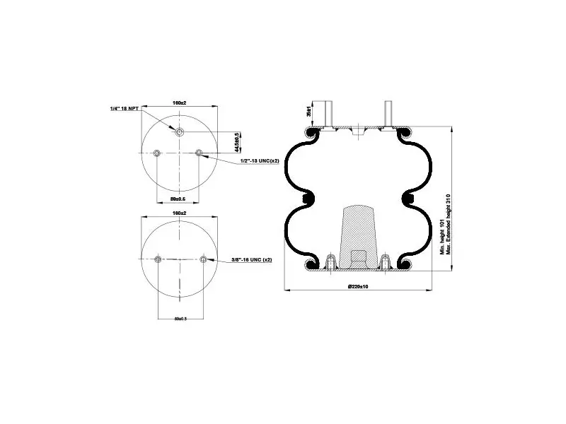 Convoluted Air Spring