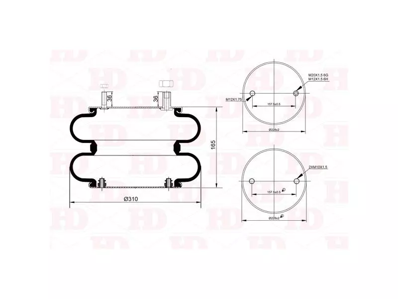 Convoluted Air Spring
