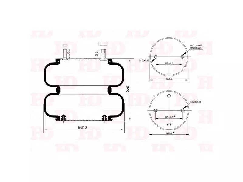 Convoluted Air Spring