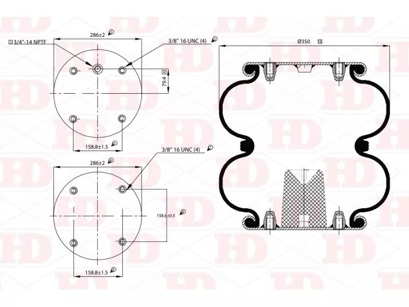 Convoluted Air Spring