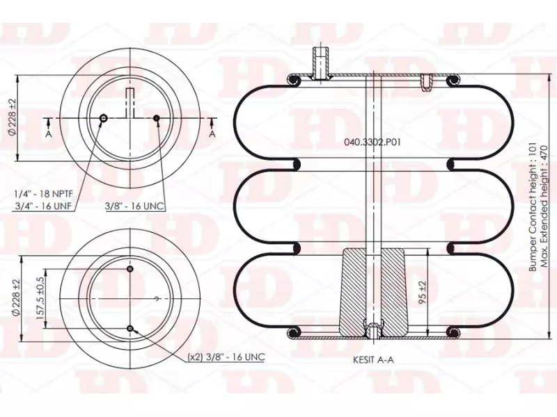 Convoluted Air Spring