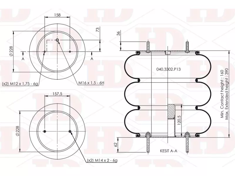Convoluted Air Spring