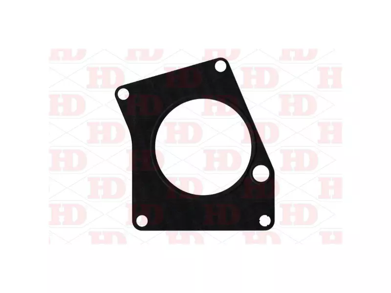 Gasket, Cylinder Block