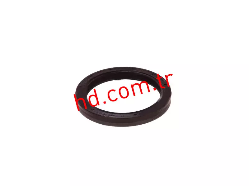 Oil Seal