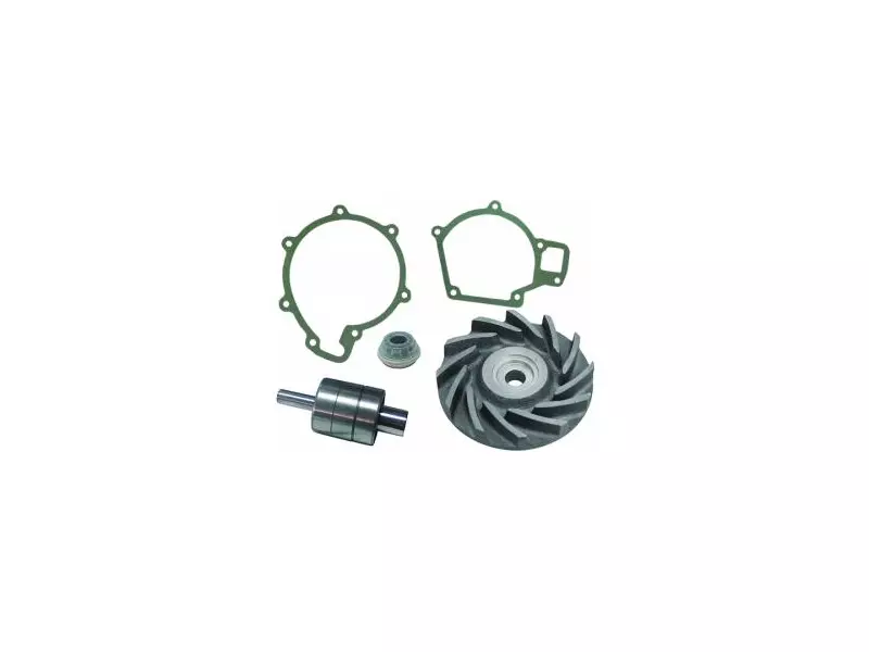 Water Pump Repair Kit