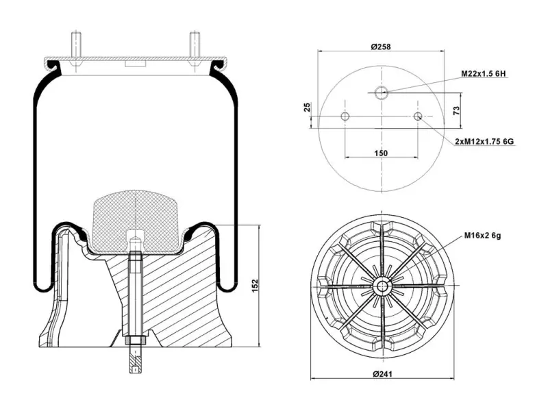 Air Spring Plastic Piston