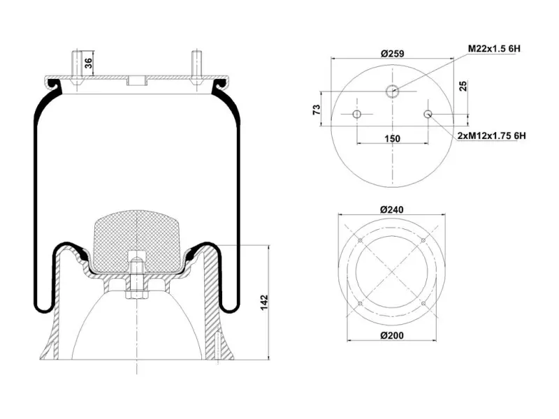 Air Spring Plastic Piston