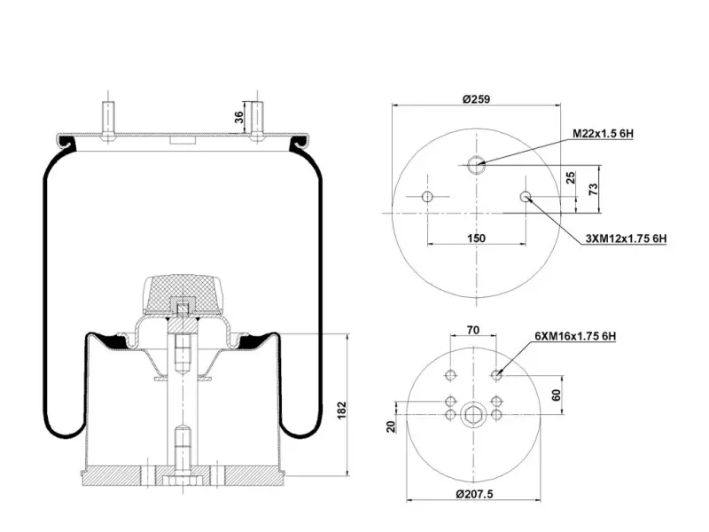 Air Spring Metal Piston