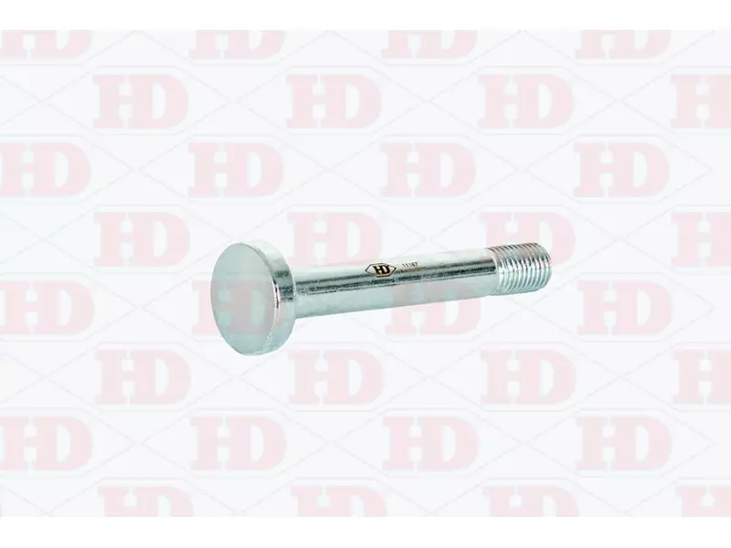 Spring Bolt