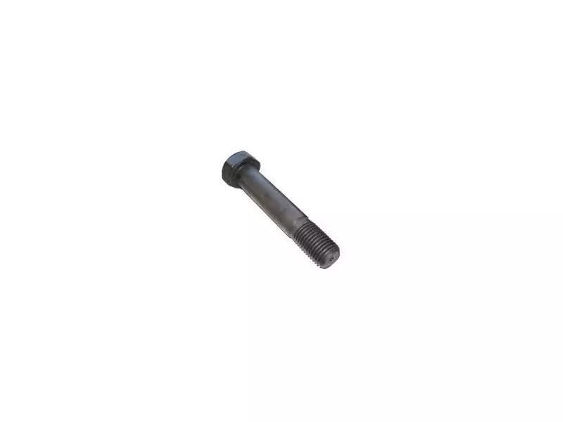 Spring Bolt