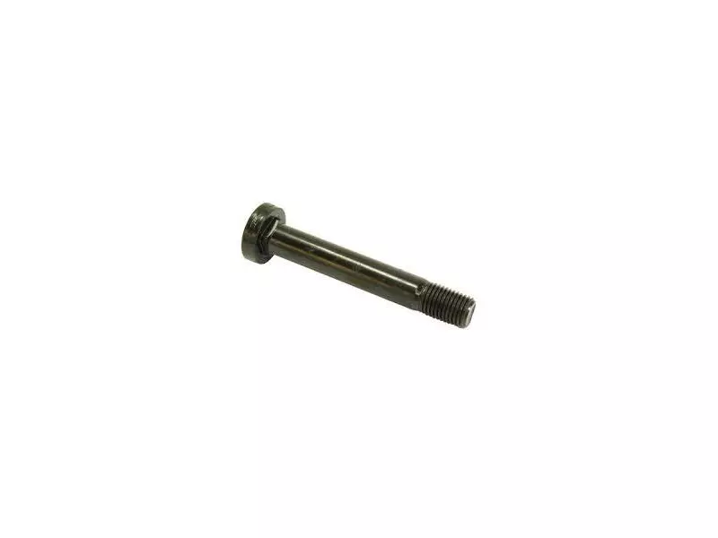 Spring Shackle Bolt