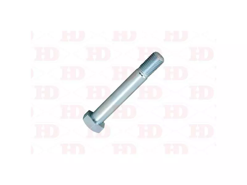 Spring Bolt (30*190*3,5)