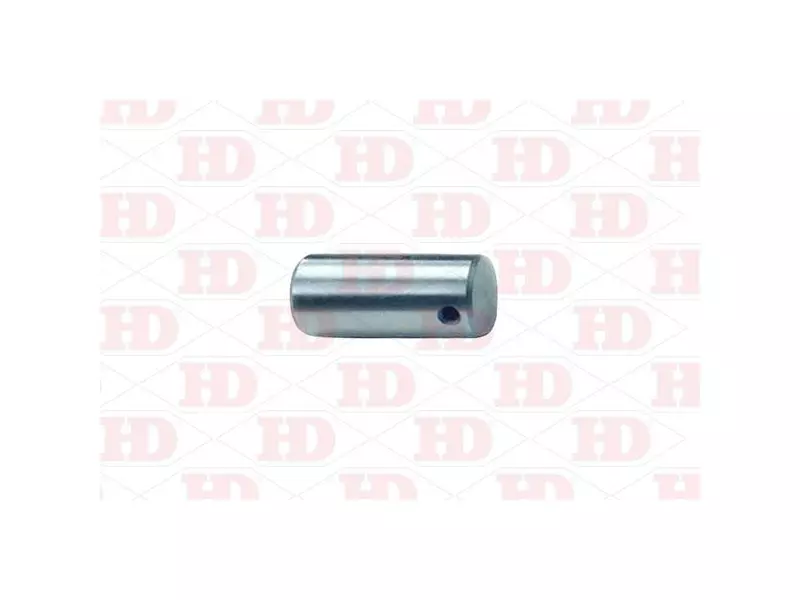 Pin Assy