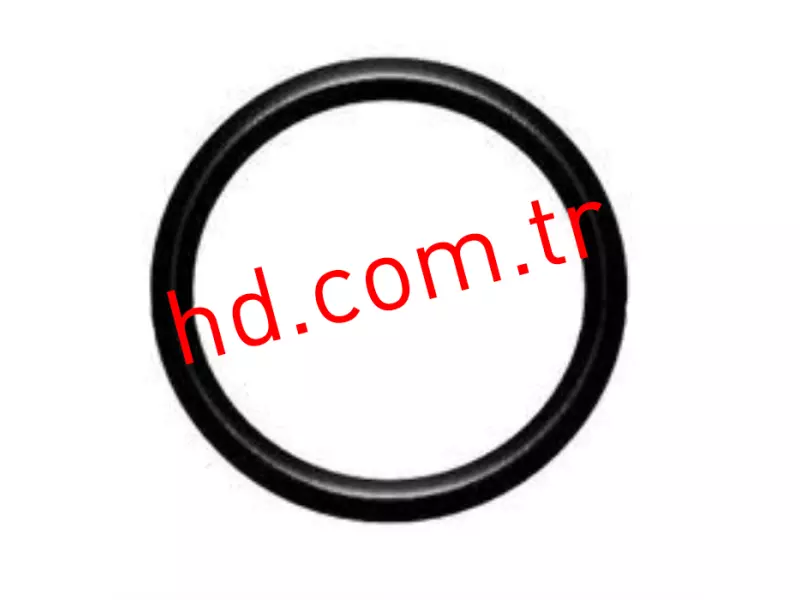 O-Ring