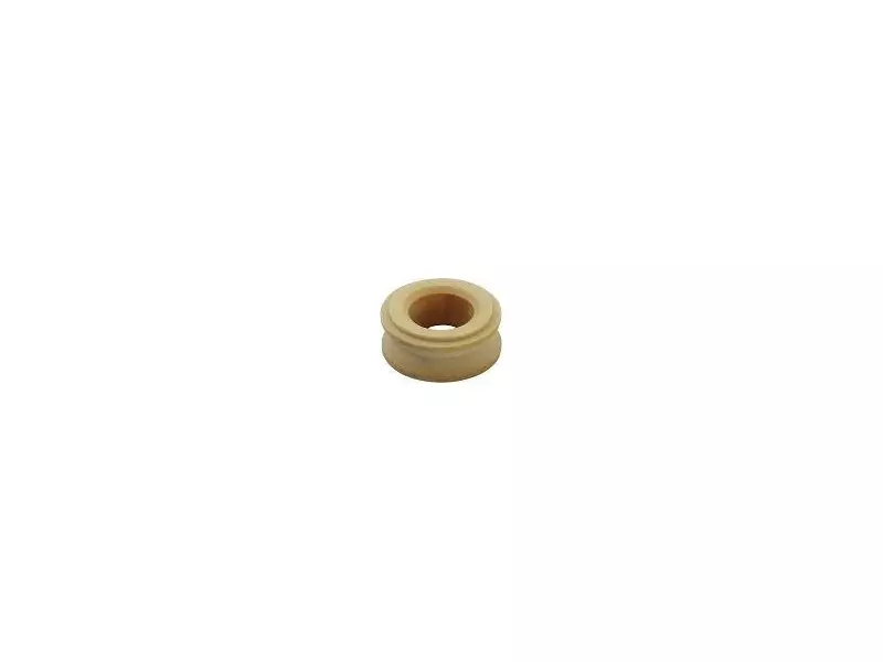 Bearing Bush