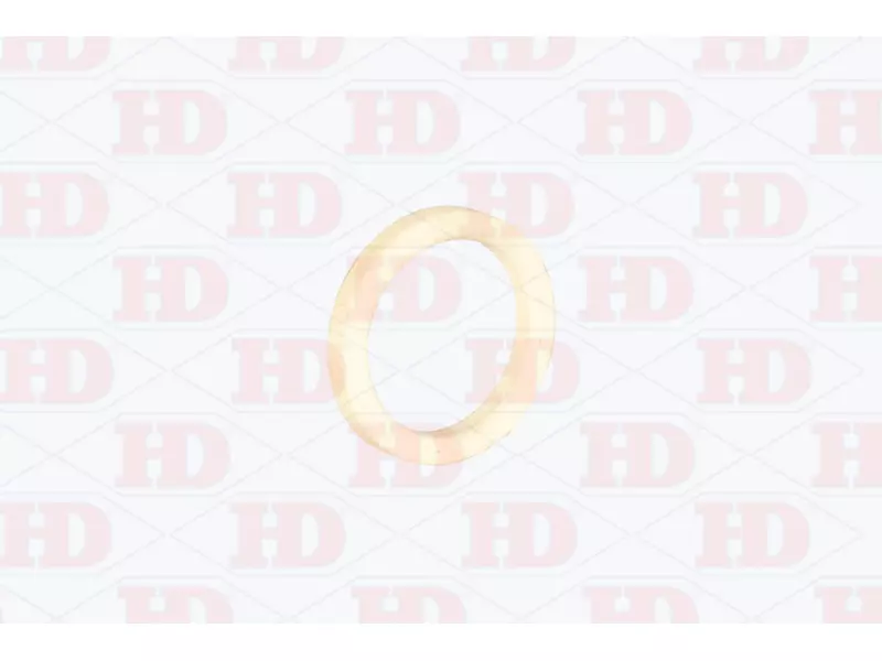 Seal Ring
