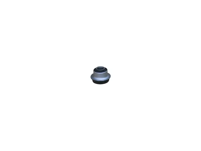Cabin Mounting