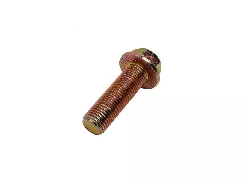Screw