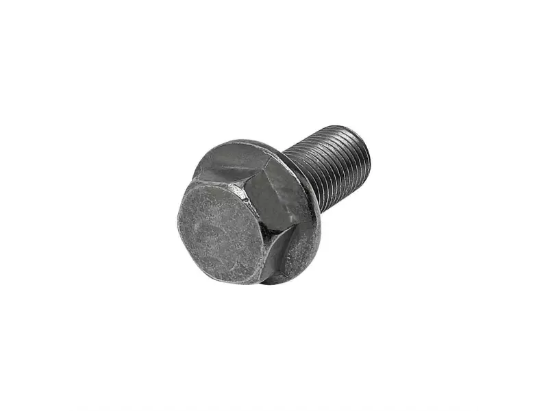 Screw