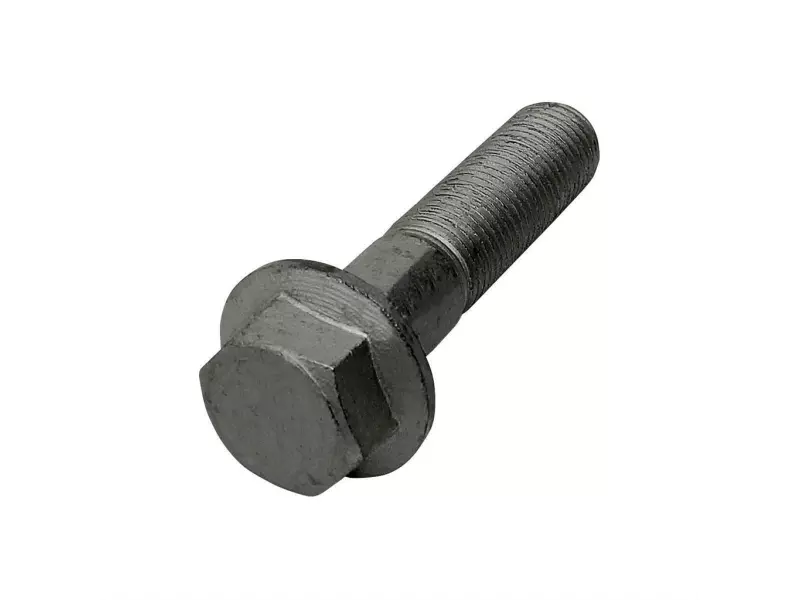 Screw