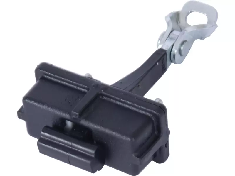DOOR CHECK STRAP