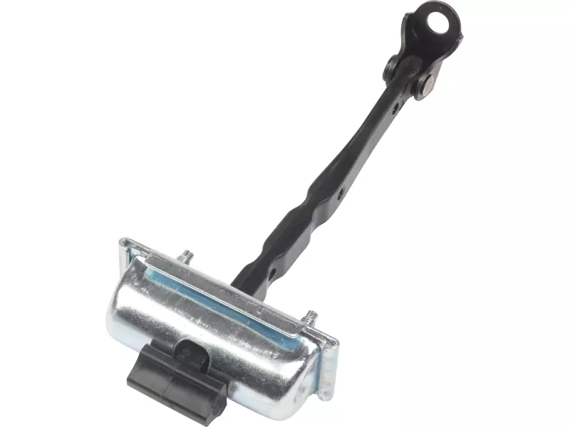 DOOR CHECK STRAP