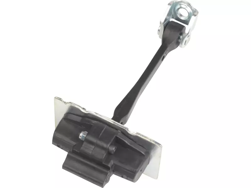 DOOR CHECK STRAP