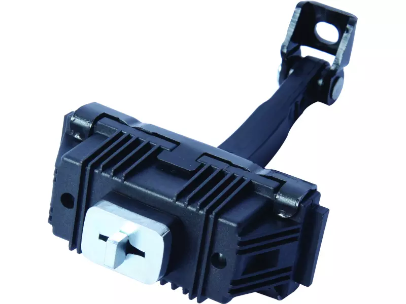 DOOR CHECK STRAP