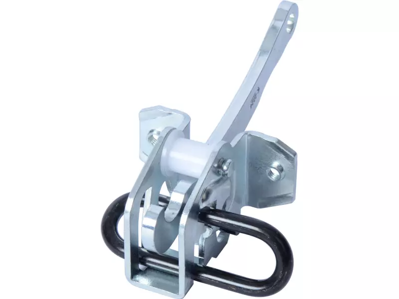 DOOR CHECK STRAP