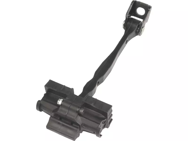 DOOR CHECK STRAP