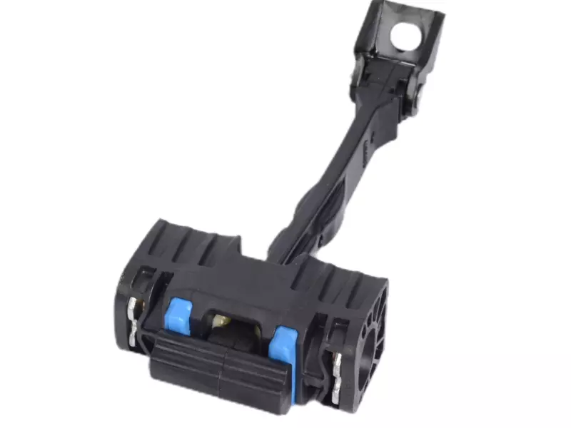 DOOR CHECK STRAP