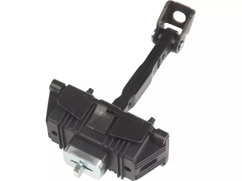 DOOR CHECK STRAP
