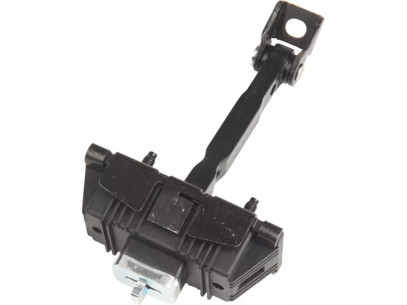 DOOR CHECK STRAP