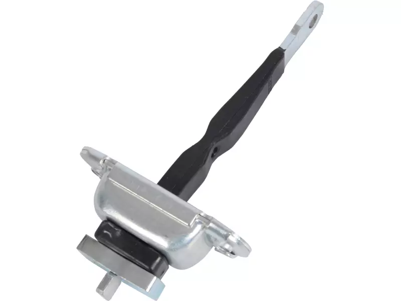 DOOR CHECK STRAP