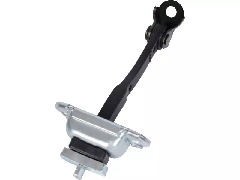 DOOR CHECK STRAP