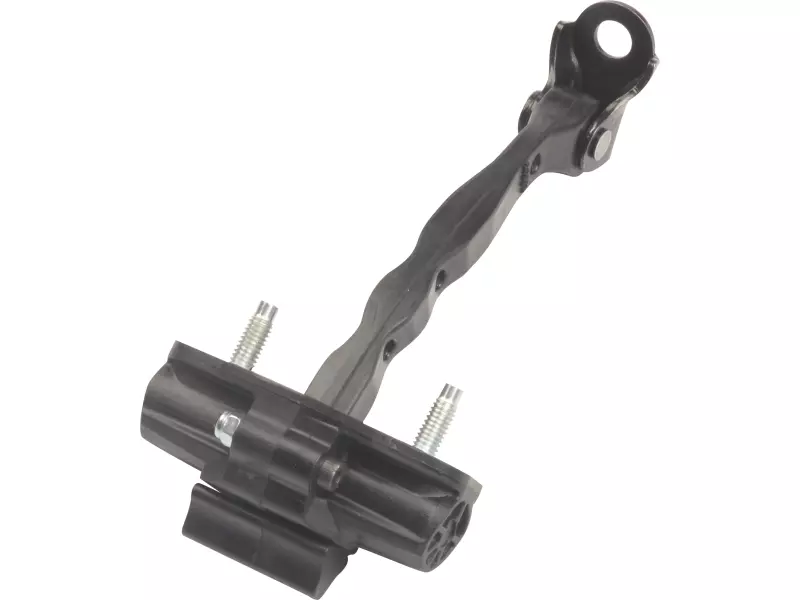 DOOR CHECK STRAP