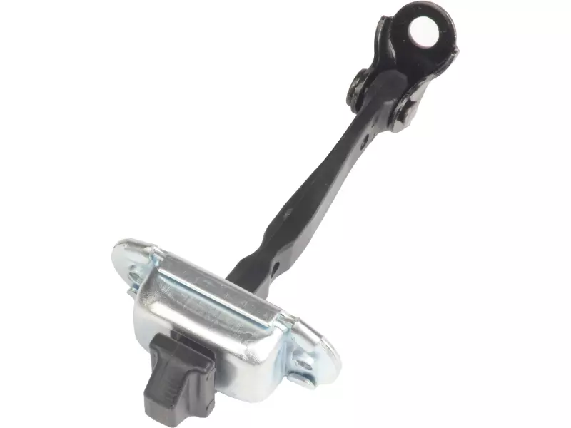 DOOR CHECK STRAP