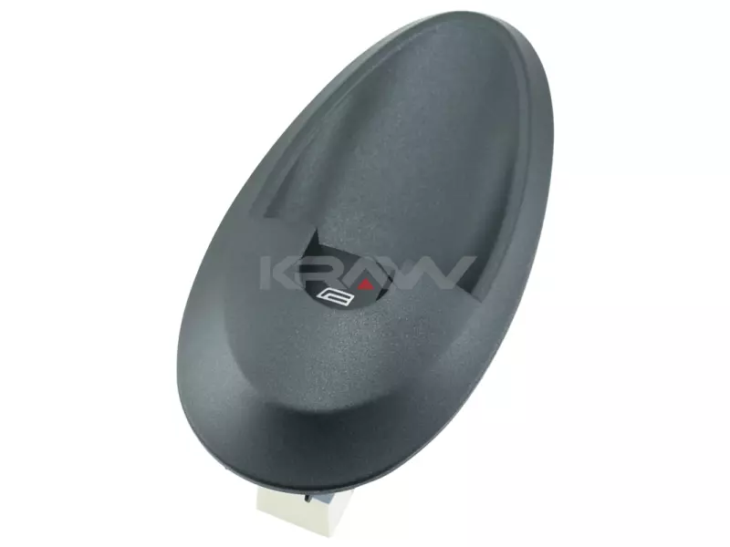 CAR SWITCH DAILY 99-06