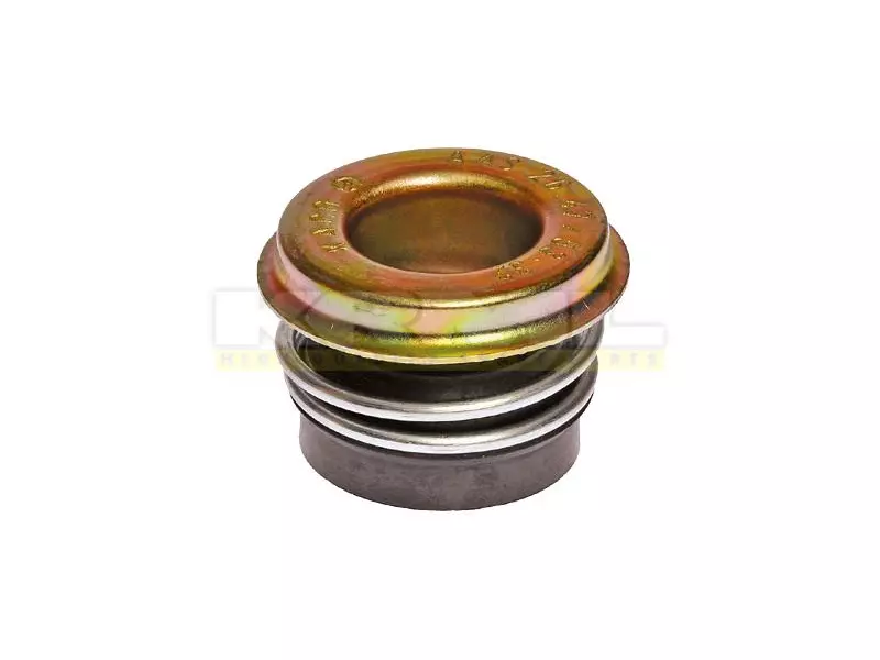 Water Pump Seal