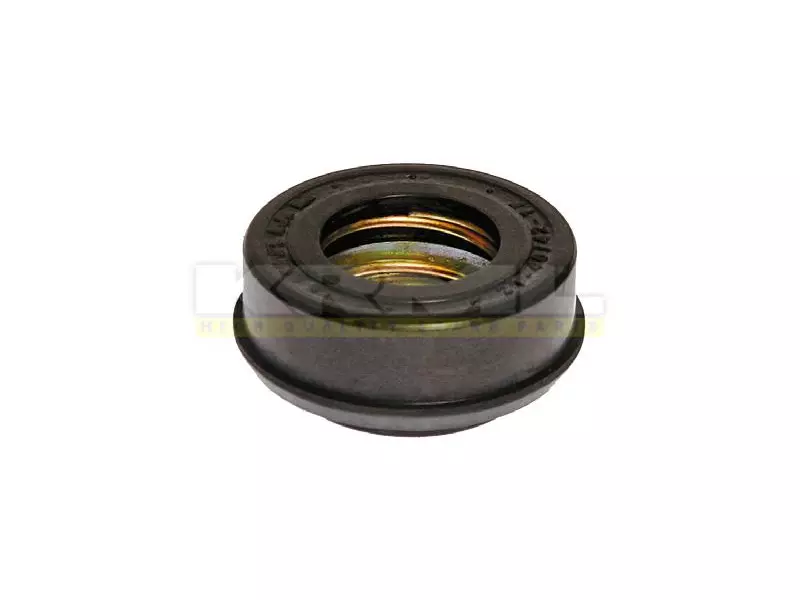 Water Pump Seal