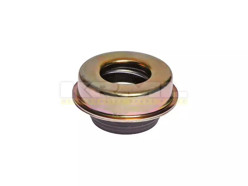 Water Pump Seal