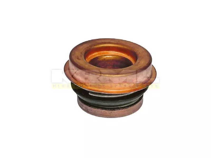 Water Pump Seal