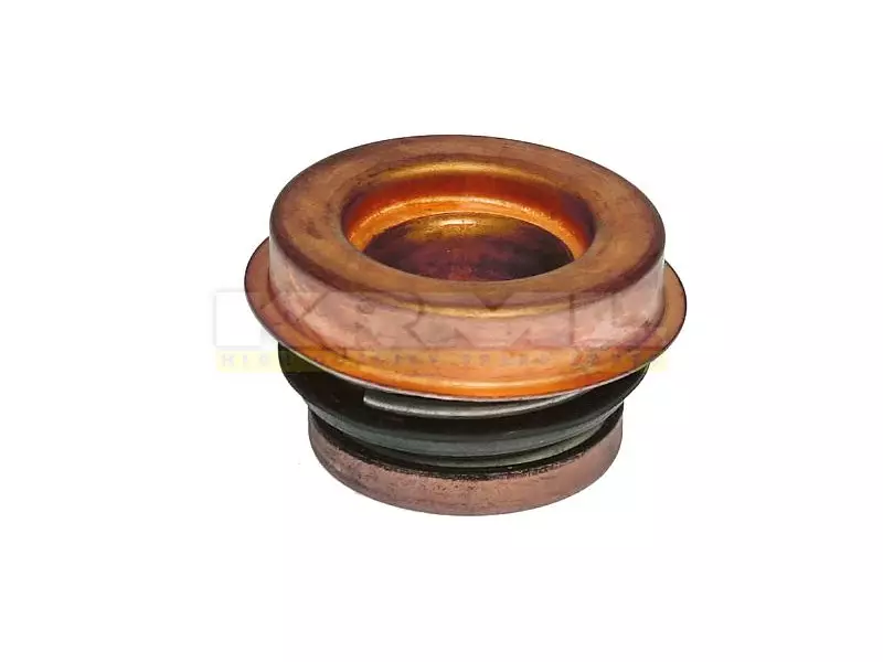 Water Pump Seal