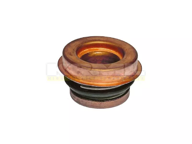 Water Pump Seal