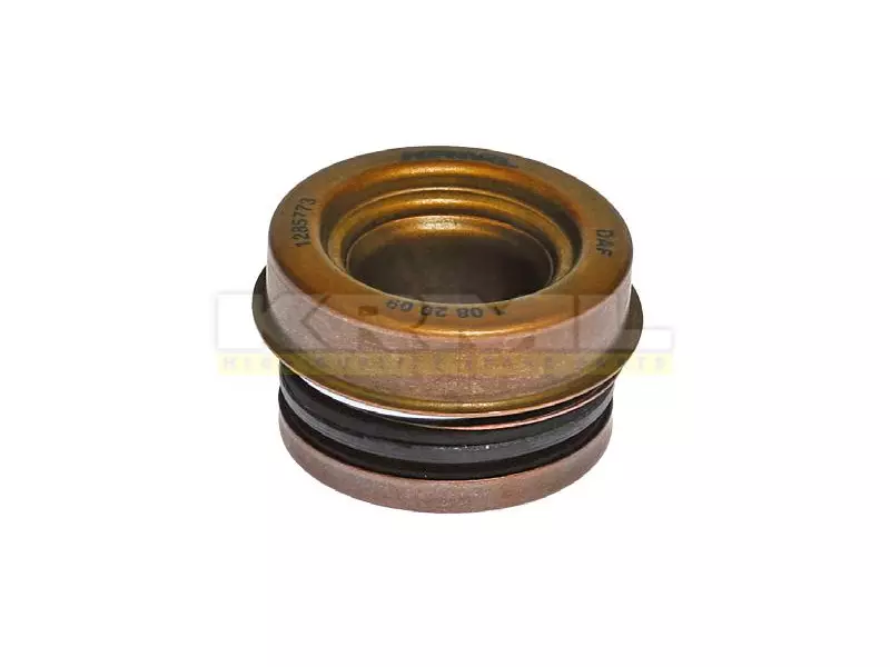 Water Pump Seal
